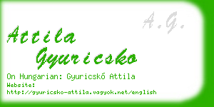 attila gyuricsko business card